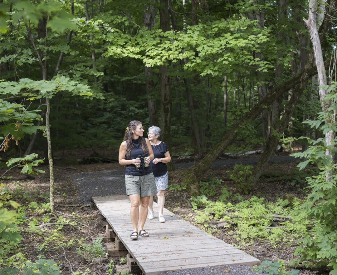 Deux personnes profitent d’une promenade sur un sentier en bois au cœur d’une forêt verdoyante.