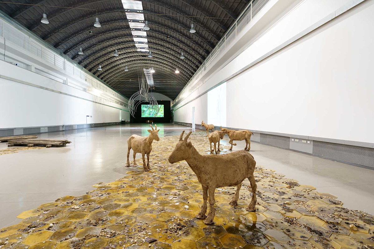 Courtesy Fondazione Merz - Ph. Filippo Maria Nicoletti