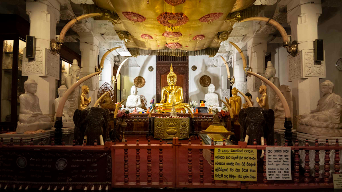 Cerimonia nel Tempio del Dente sacro di Kandy