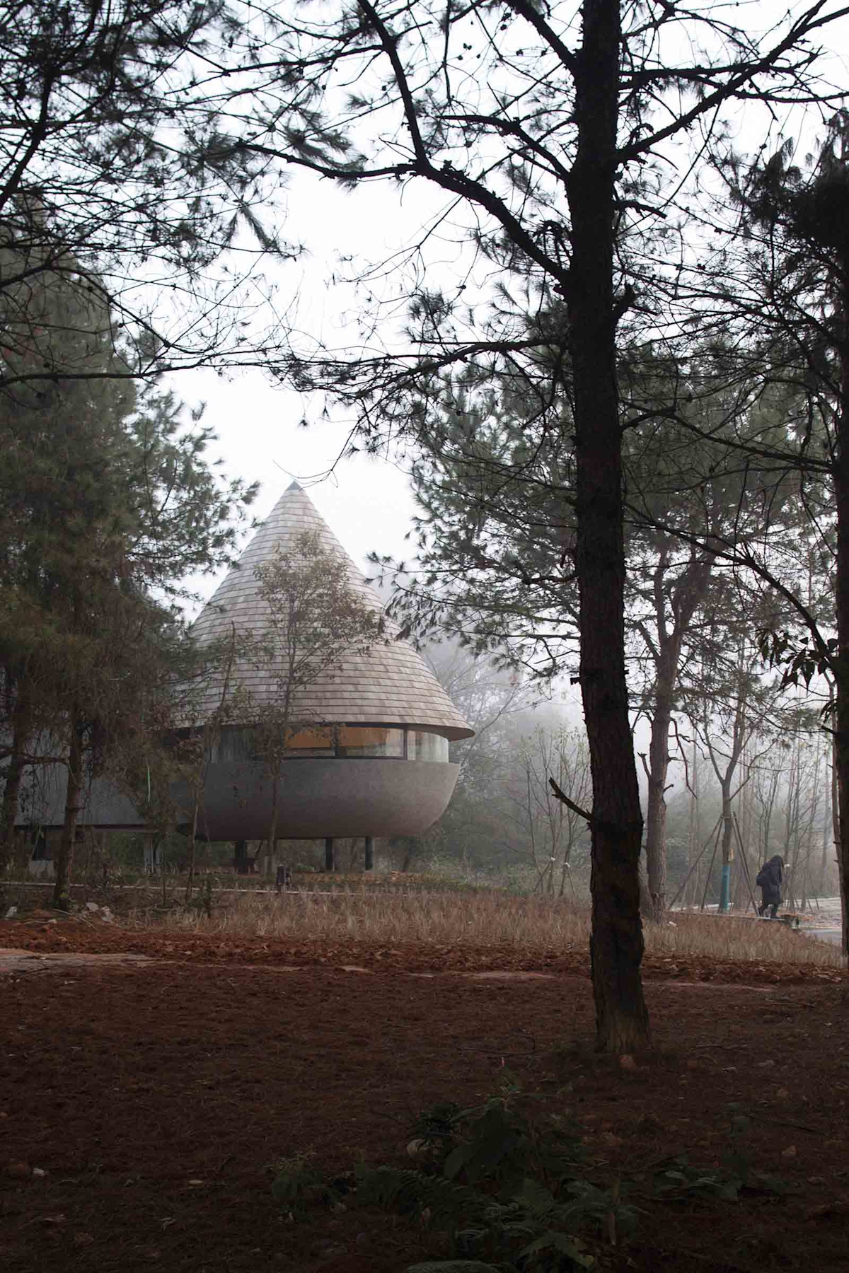 The mushroom