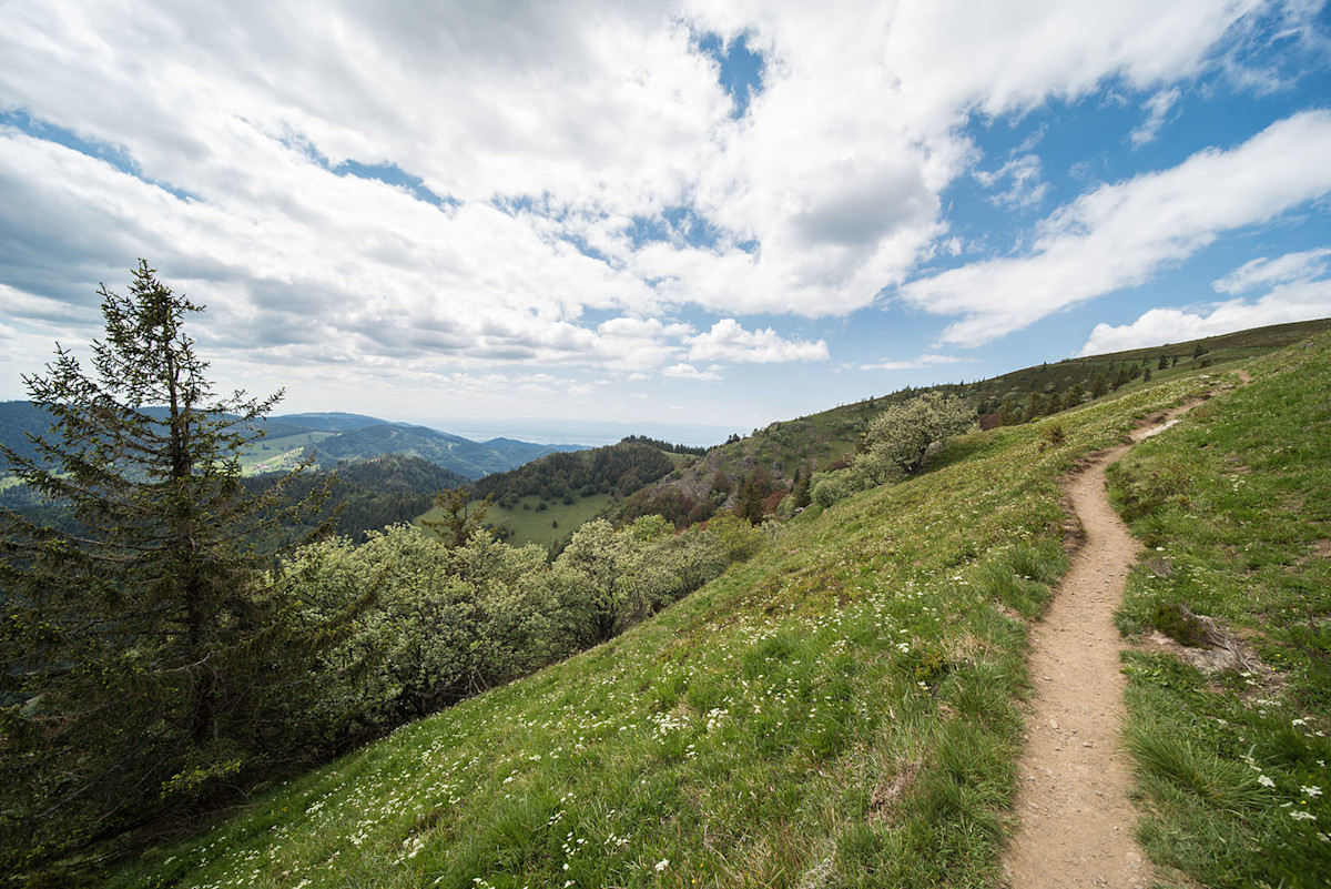 Westweg Trail