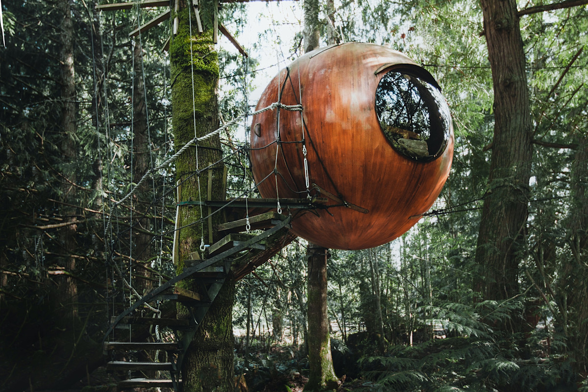 Nidi sugli alberi o nascoste nella foresta