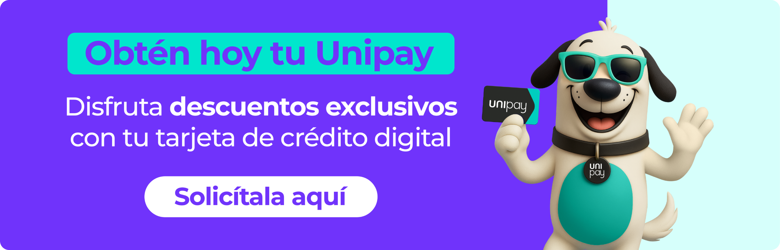 BANNER DUO - UNIPAY