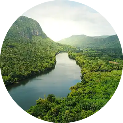 Sustainability
