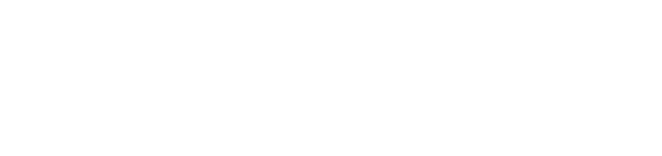 Partner AORUS logo