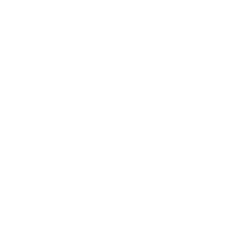 Partner 1,000 Dreams Fund logo