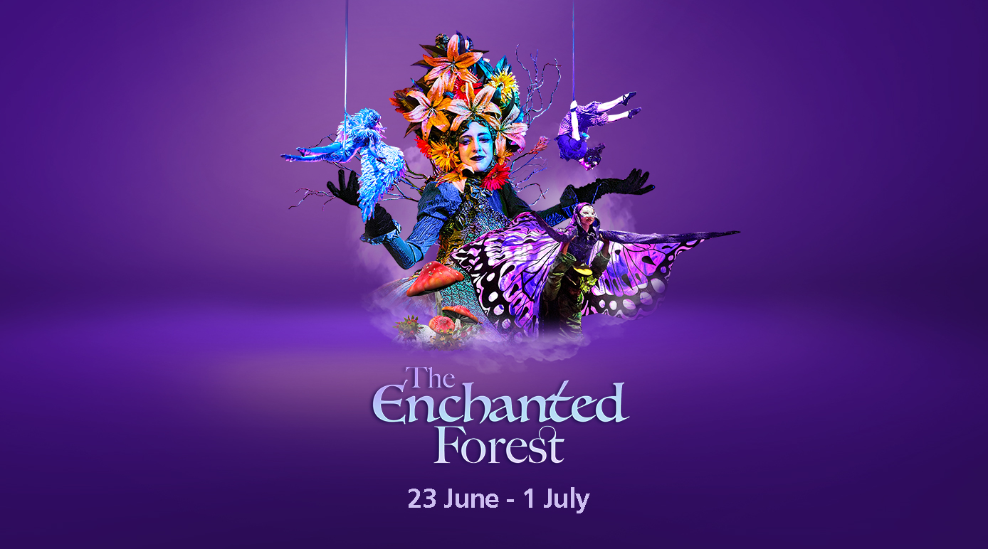 The Enchanted Forest