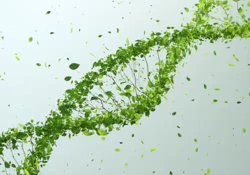 Green DNA – Invitae Company
