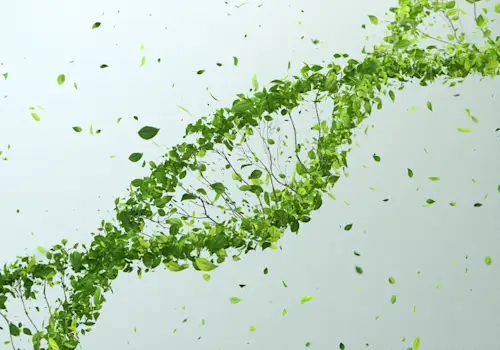 Green DNA – Invitae Company