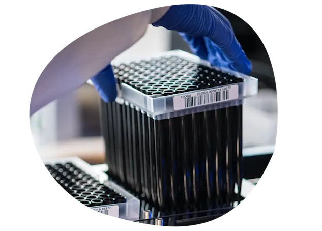 Gloved hands picking up lab object