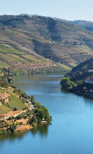 Rio Douro