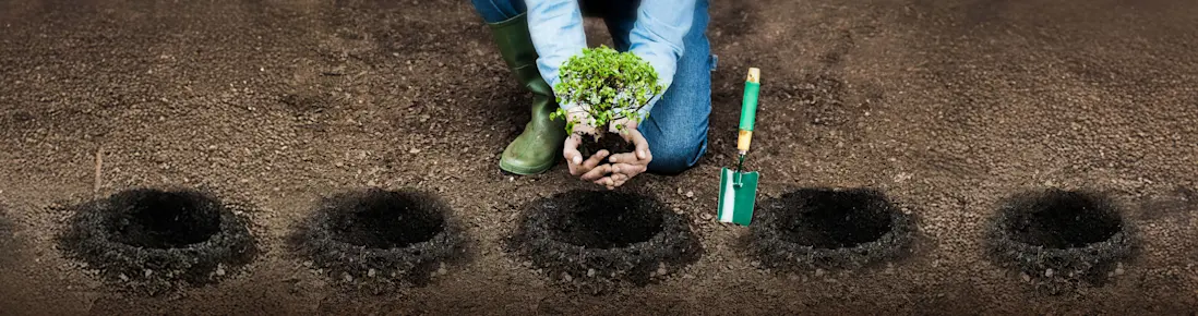 Consumidor planta árvores no Dia da Sustentabilidade.