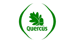 Quercus