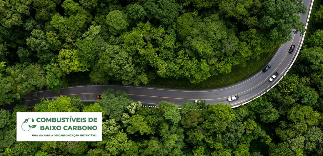 Plataforma para a promoção dos combustíveis de baixo carbono (PCBC)