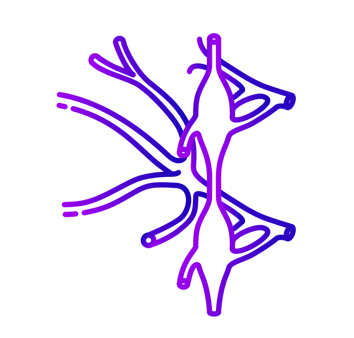 Icon for Nerves & Ganglia category