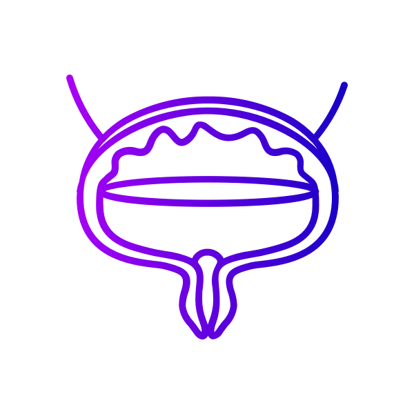 Icon for Urinary System category