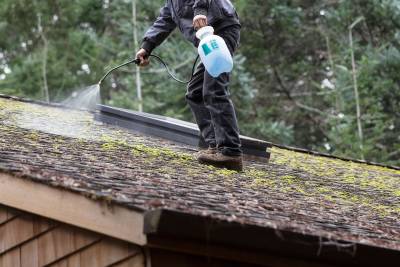 The Ultimate Guide to Eliminating Roof Moss: Tips and Tricks