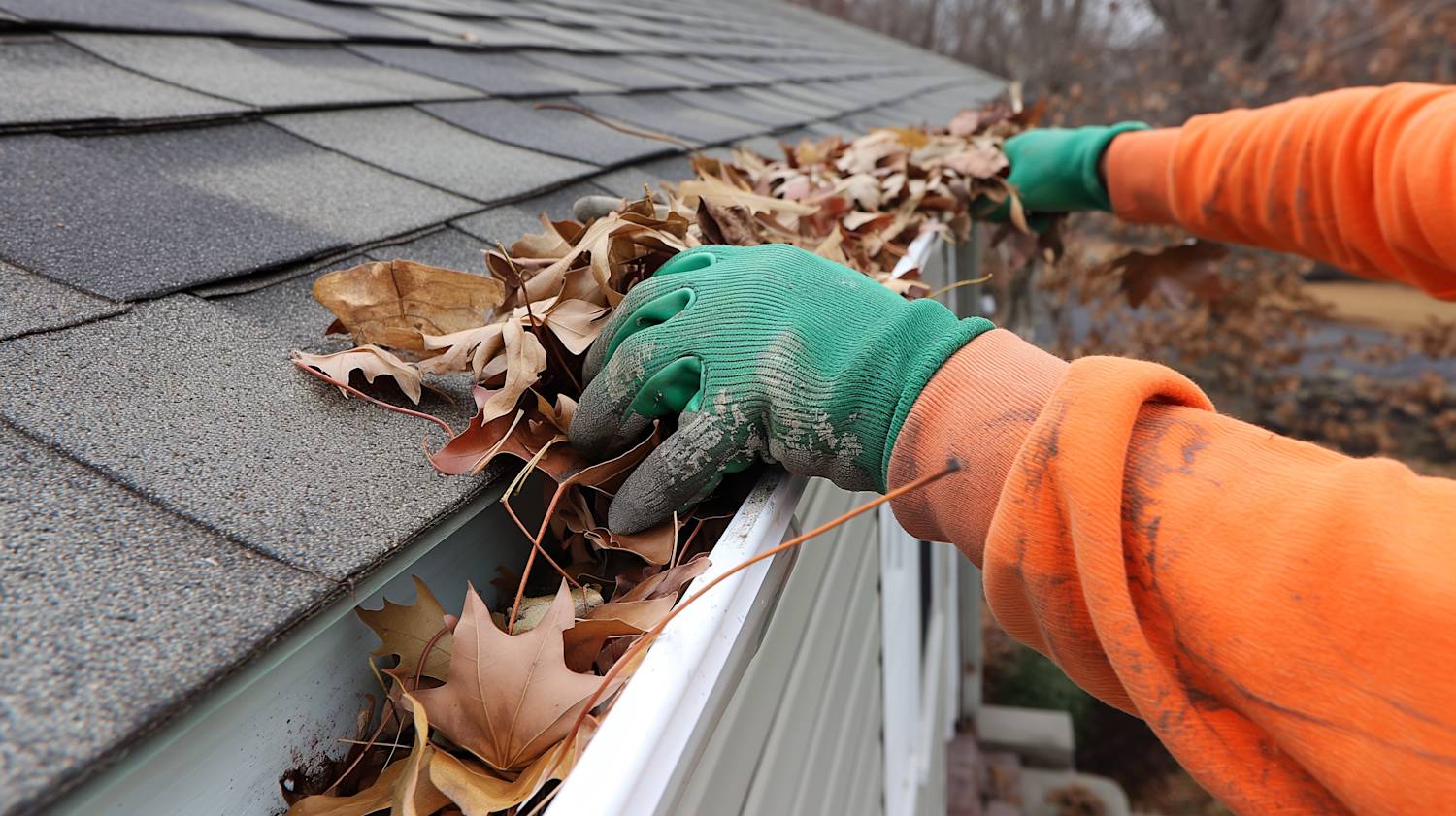 Everything You Need to Know About Gutter Cleaning Cost