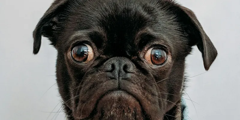 charlesdeluvio-K4mSJ7kc0As-unsplash
