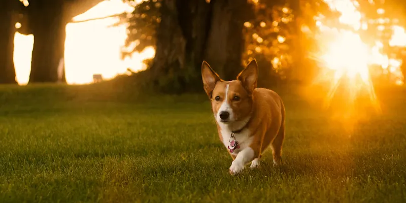 jacob-van-blarcom-lkzjENdWgd8-unsplash