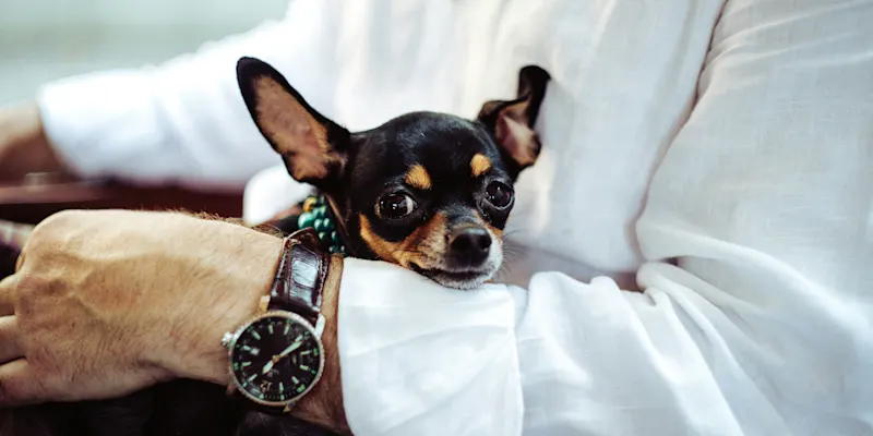 angelina-litvin-xTJ4ZtPD__8-unsplash
