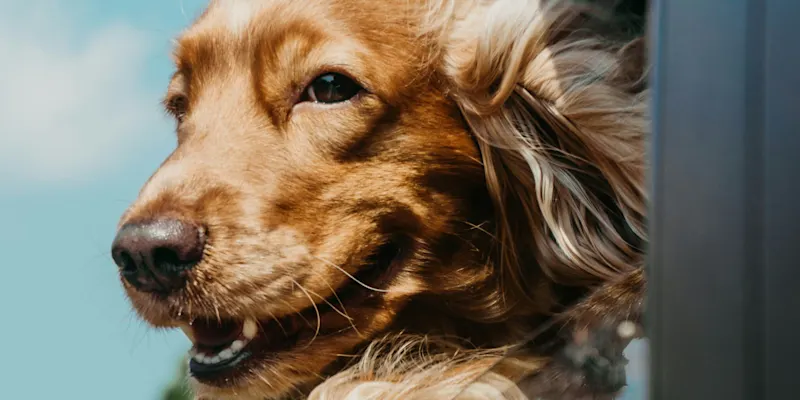 ja-san-miguel-_-QQuvAwQ-0-unsplash