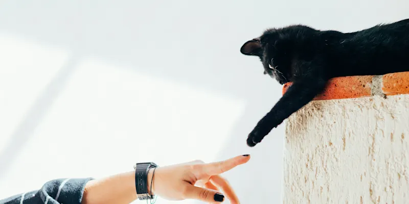 humberto-arellano-N_G2Sqdy9QY-unsplash