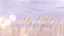 Pastel Field