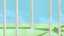 Wind