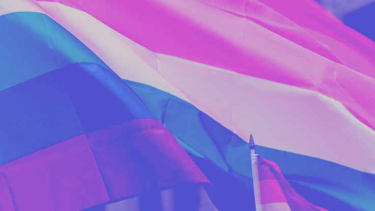 pride flag