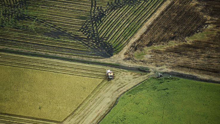 Farming and climate change