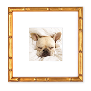 framebridge