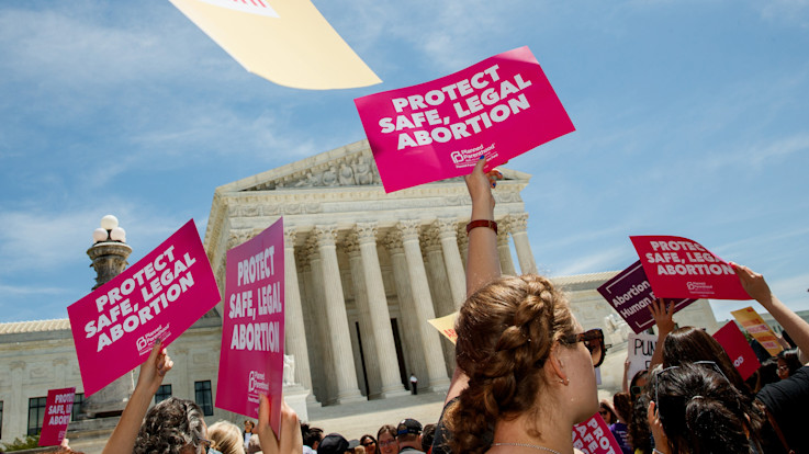 Abortion web guide