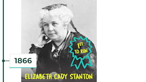Elizabeth Cady Stanton