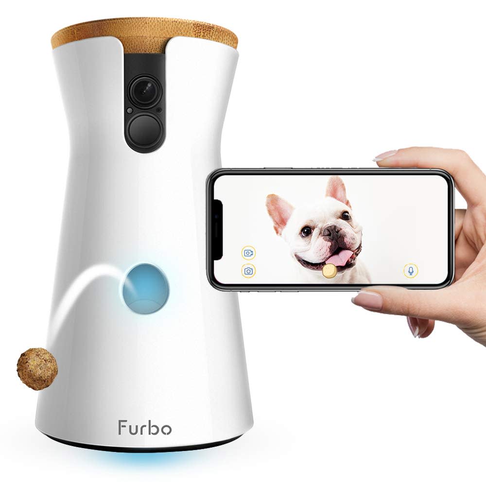 Furbo