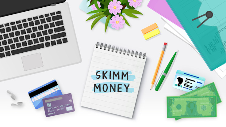 skimmmoneyhero