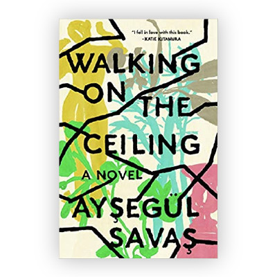 Walking on the Ceiling