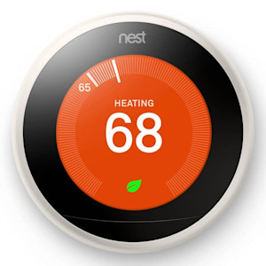 nest