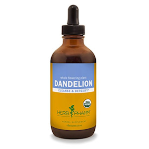 Dandelion Tincture
