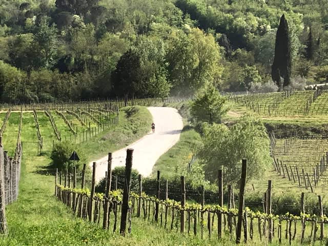 Italy Divide Italy Divide