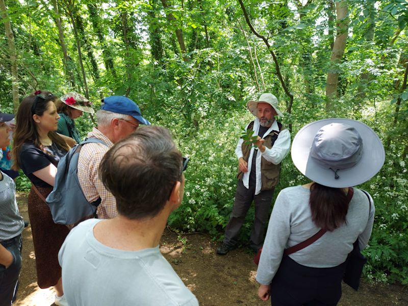 Russell Miller showing leaves during a tree walk