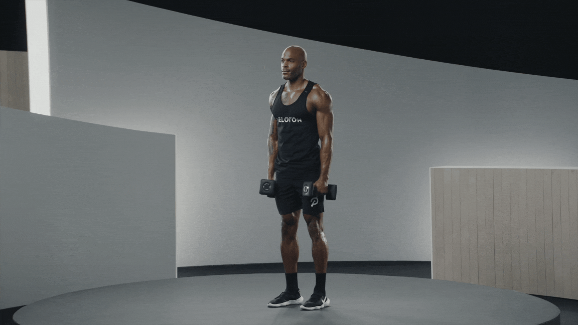 Dumbbell lateral raise