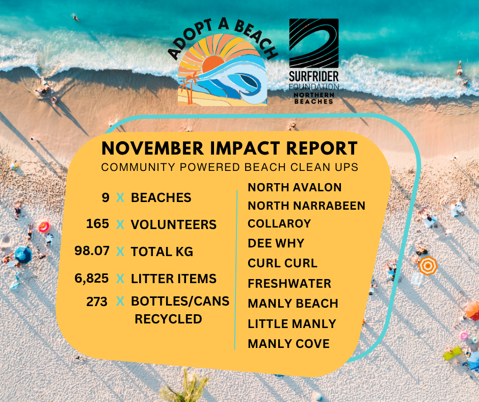SurfriderAdopabeachimpact