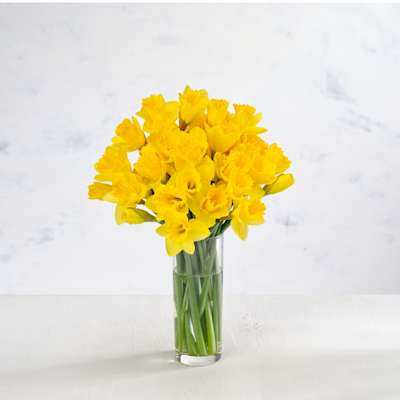 Co-op British Daffodils Bunch Co-op British Daffodils Bunch