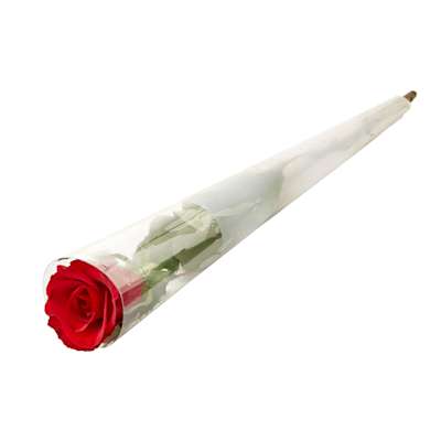 Co-op Fairtrade Irresistible Single Rose Co-op Fairtrade Irresistible Single Rose