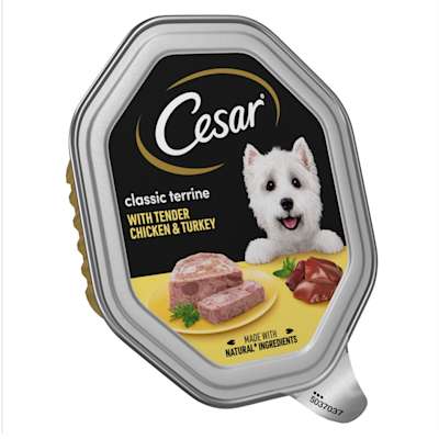 Cesar Classic Terrine with Chicken and Turkey Dog Food Trays 150g Cesar Classic Terrine with Chicken and Turkey Dog Food Trays 150g