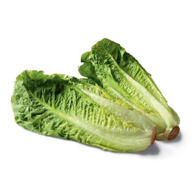 Co-op Sweet Romaine Lettuce Per pack Co-op Sweet Romaine Lettuce Per pack