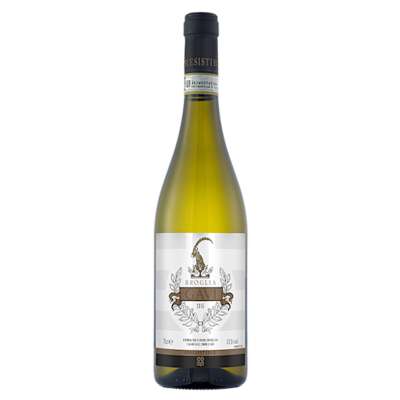 Co-op Irresistible Gavi Broglia Co-op Irresistible Gavi Broglia