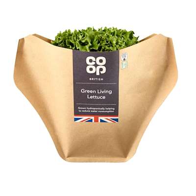Co-op Living Lettuce Green Co-op Living Lettuce Green