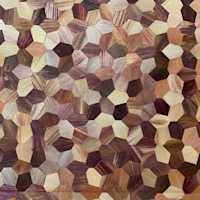Biocomposite